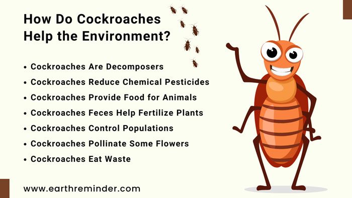 cockroaches help the environment