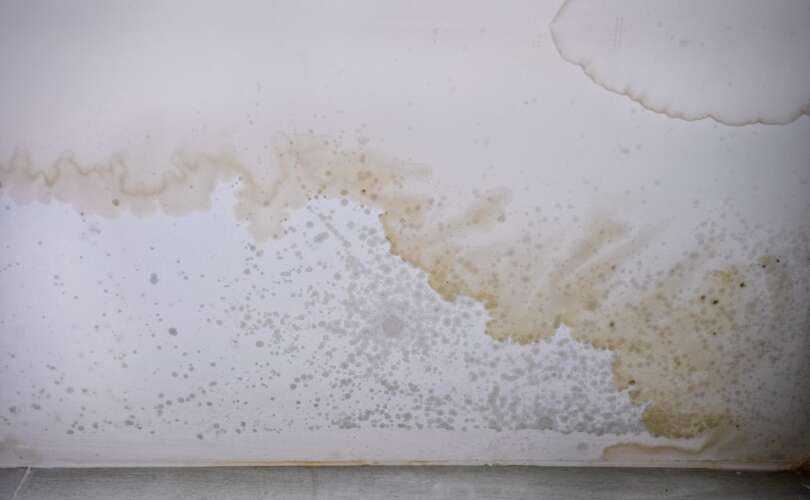 Clean Dirt and Stains Off Walls