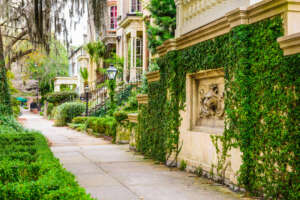 A street in the Savannah Historic District to explore on a guided tour.